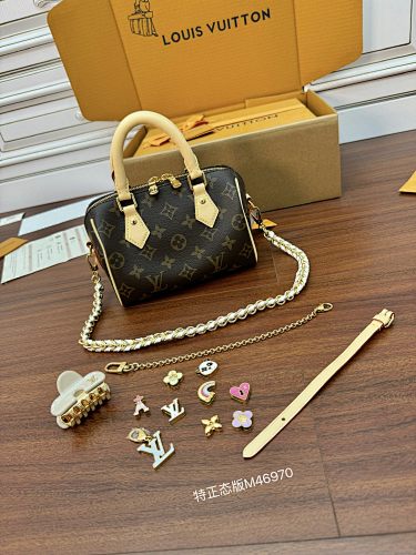Louis Vuitton bag