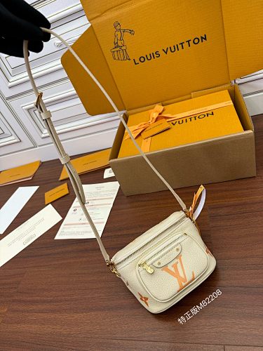 Louis Vuitton bag