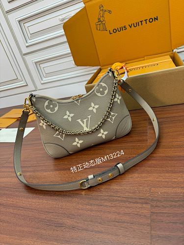 Louis Vuitton bag