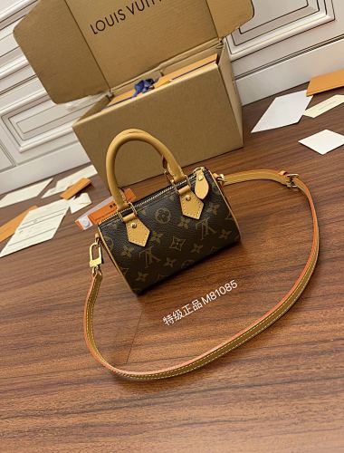 Louis Vuitton bag