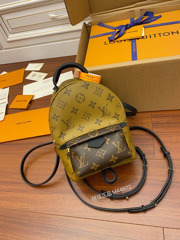 Louis Vuitton bag