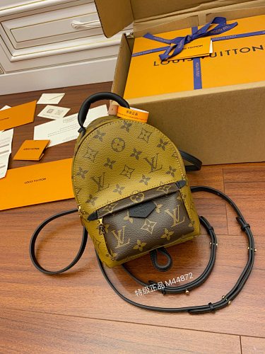 Louis Vuitton bag