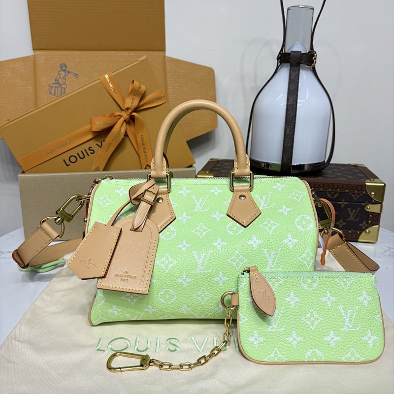 Louis Vuitton bag