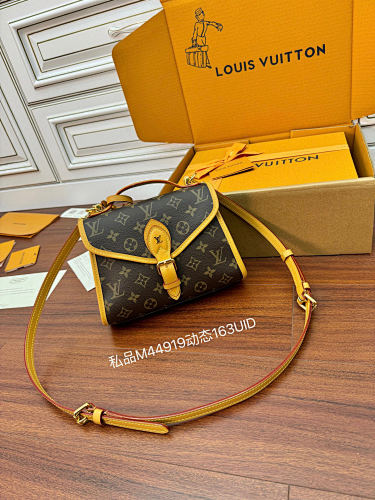 Louis Vuitton bag