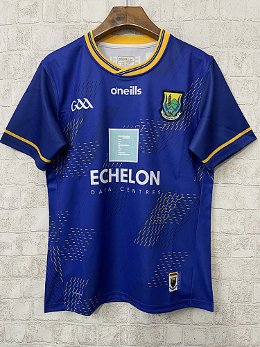 Wicklow Gaa Jersey S-3XL