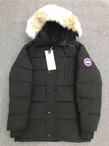 Canada Goose