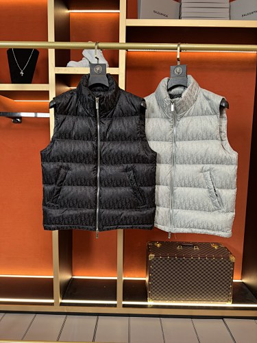 Dior Vest