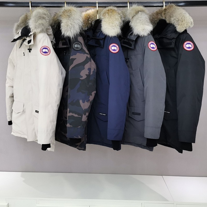 Canada Goose