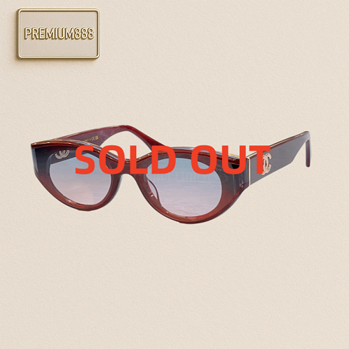 Chane 's New Sunglasses Model Size 51 Mouths 24-145