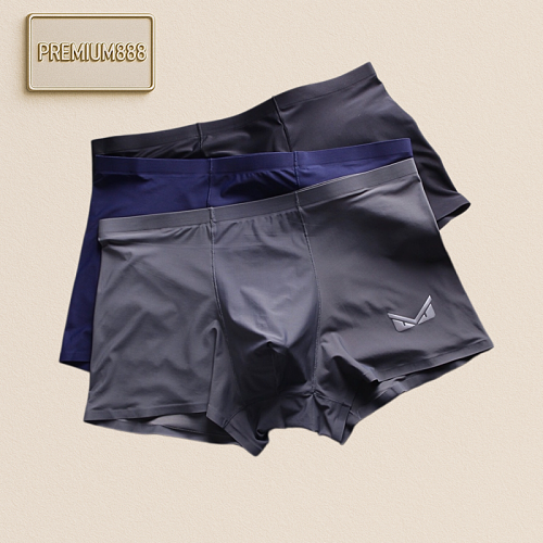Arc'teryx Product Arc Teryx Original Single Quality Premium Boxed Men's Underwear For Overseas Expor
