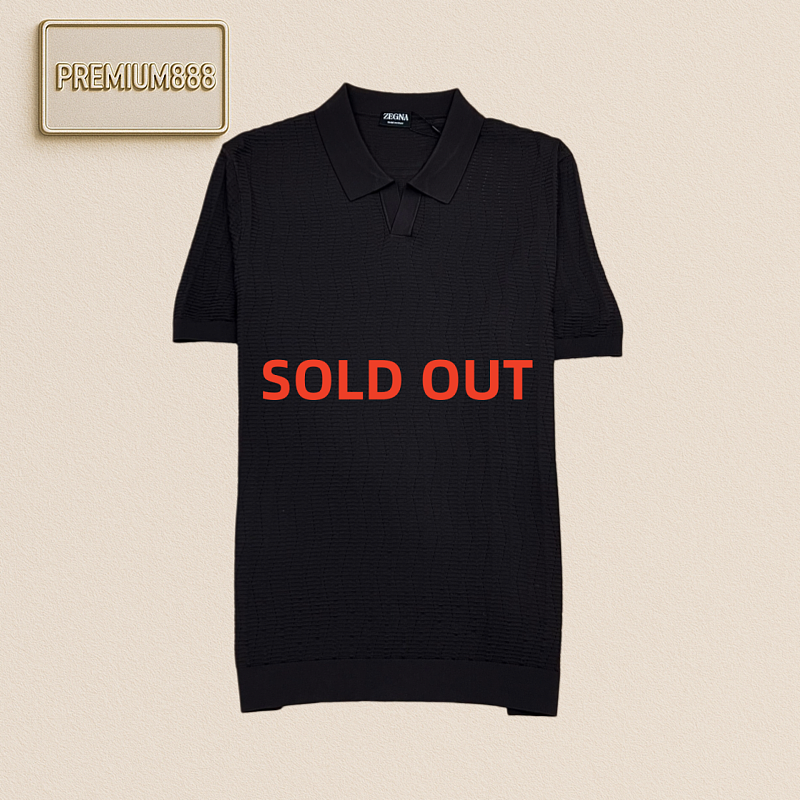 Zegna Jenia Textured V-neck Knitted Casual Short-Sleeved Polo Shirt