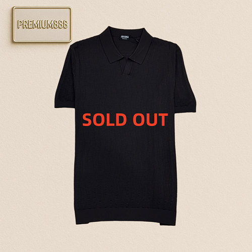 Zegna Jenia Textured V-neck Knitted Casual Short-Sleeved Polo Shirt