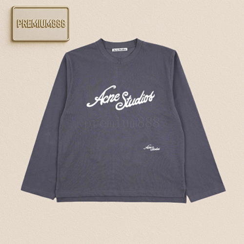 Acne Judi Embroidered Hoodie