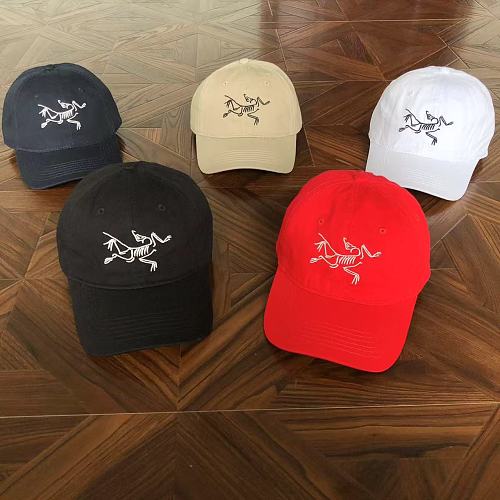 Arc'teryx Arcteryx Cap