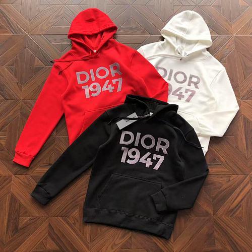 Dior Hoodie