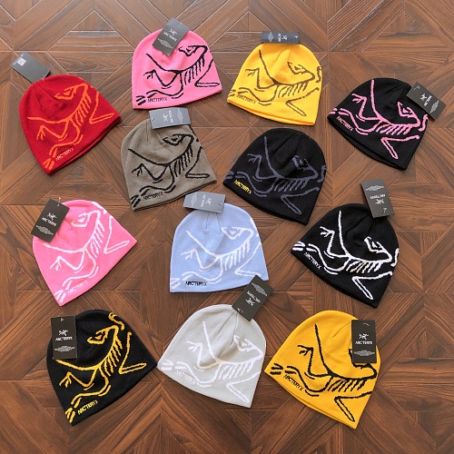 Arc'teryx Arcteryx Cap