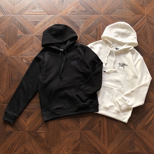 Arc'teryx Arcteryx Hoodie