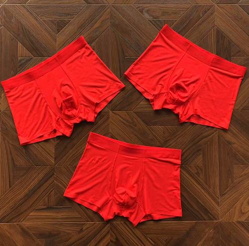 Prada Underpants