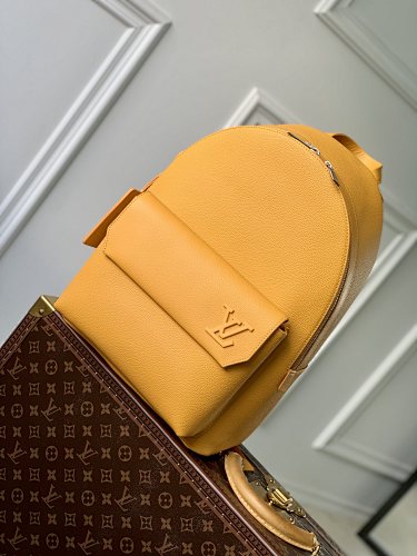 Louis Vuitton backpack