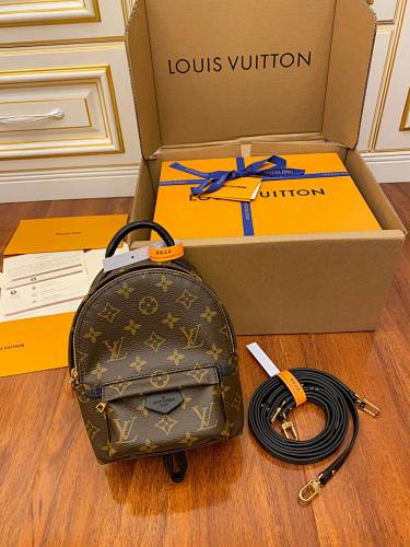 Louis Vuitton bag