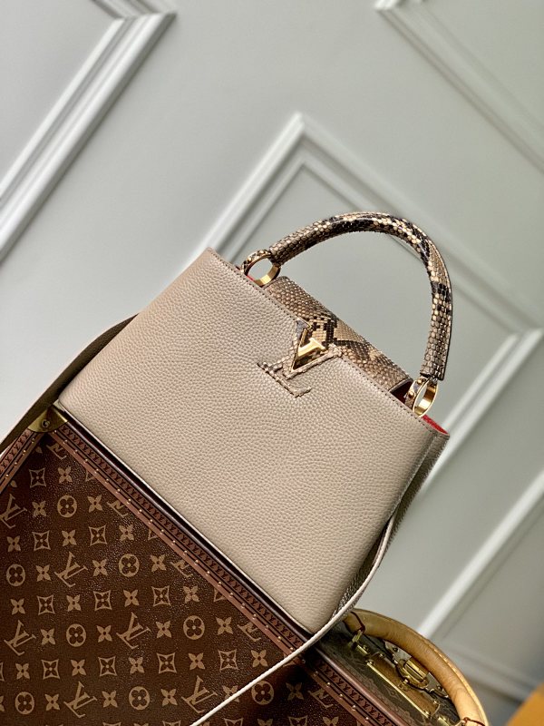 Louis Vuitton bag