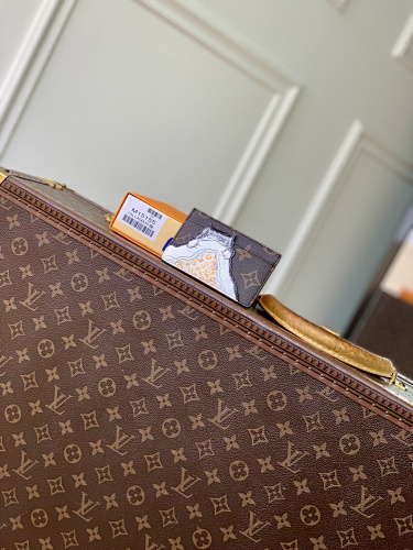 Louis Vuitton card holder