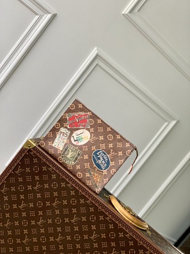 Louis Vuitton clutch