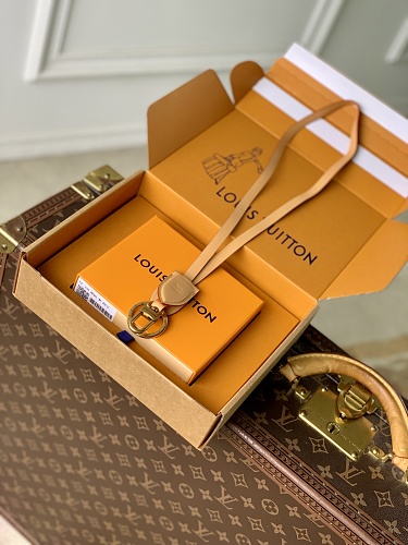 Louis Vuitton bag