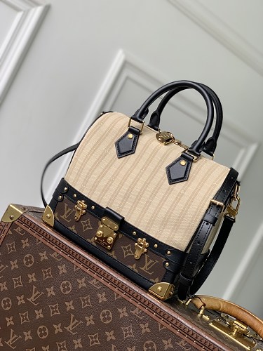 Louis Vuitton travel bag