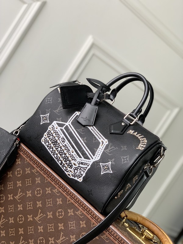 Louis Vuitton bag