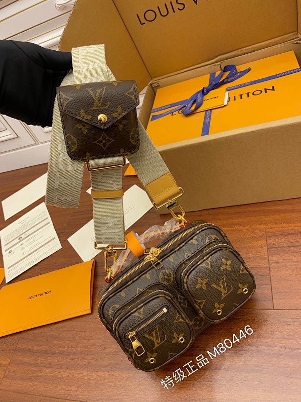 Louis Vuitton bag