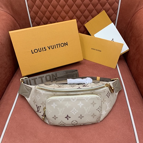 Louis Vuitton belt bag