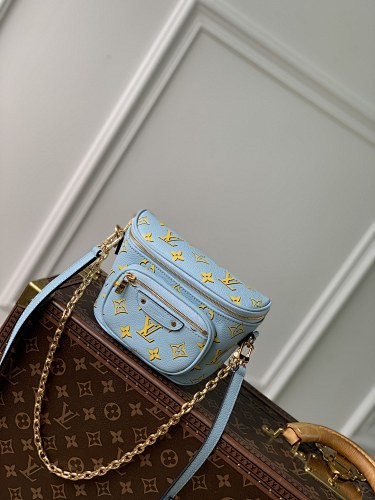 Louis Vuitton bag