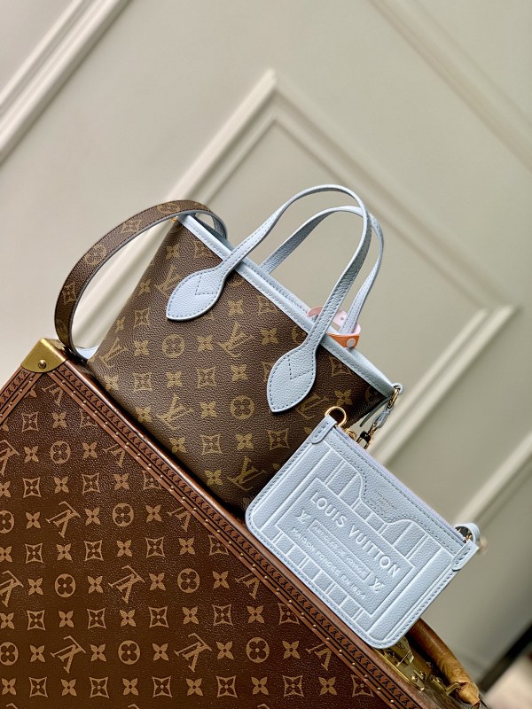 Louis Vuitton bag