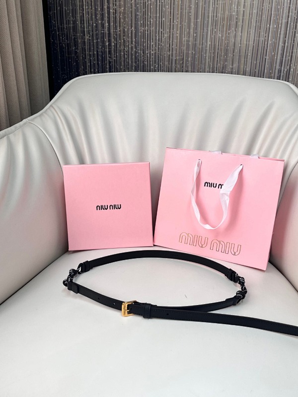 Miu Miu bag