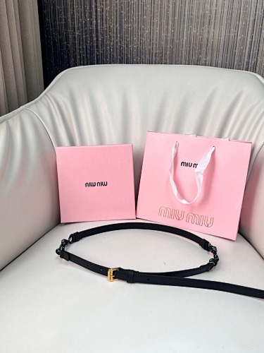 Miu Miu bag
