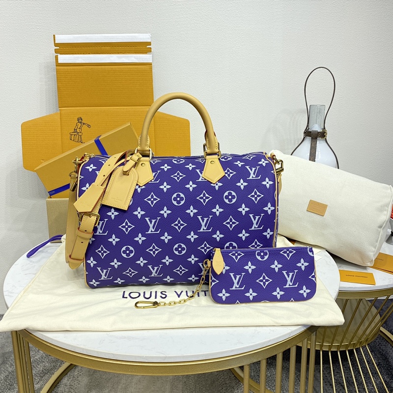 Louis Vuitton bag