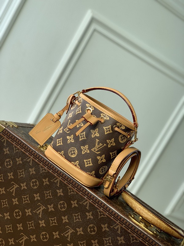 Louis Vuitton bag