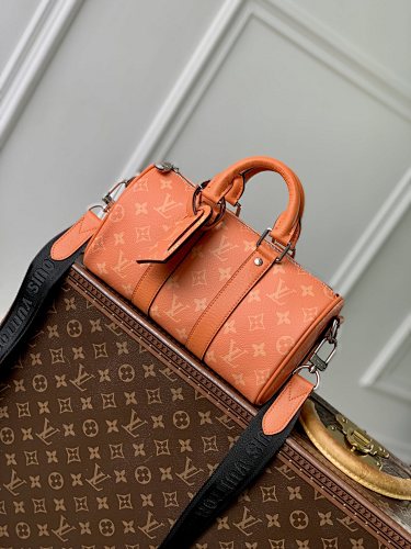 Louis Vuitton travel bag