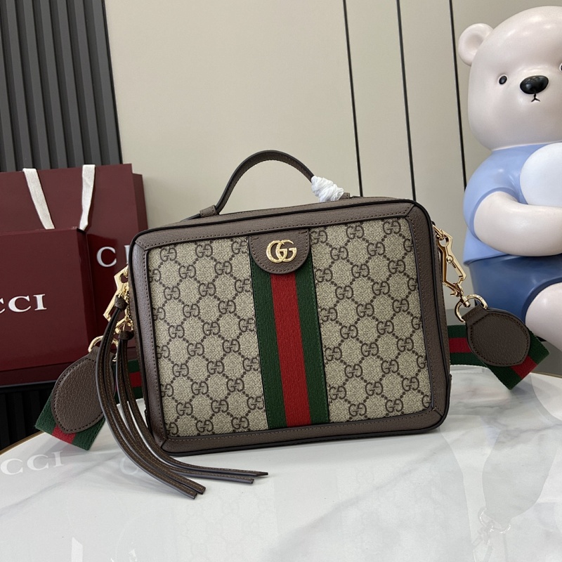 Gucci bag