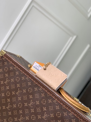 Louis Vuitton clutch
