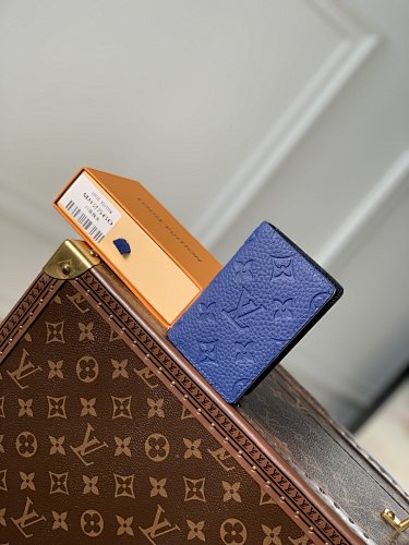 Louis Vuitton wallet