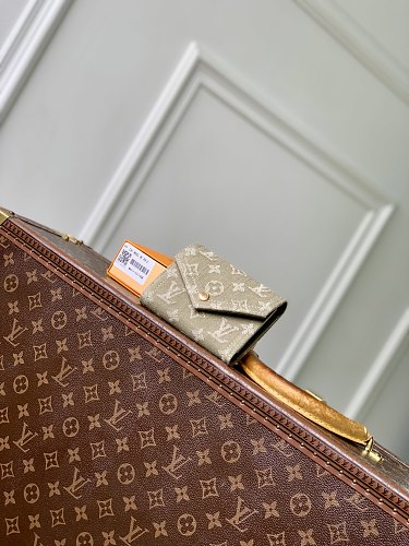 Louis Vuitton wallet