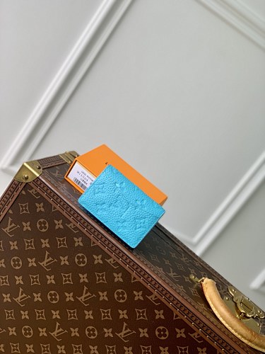 Louis Vuitton wallet