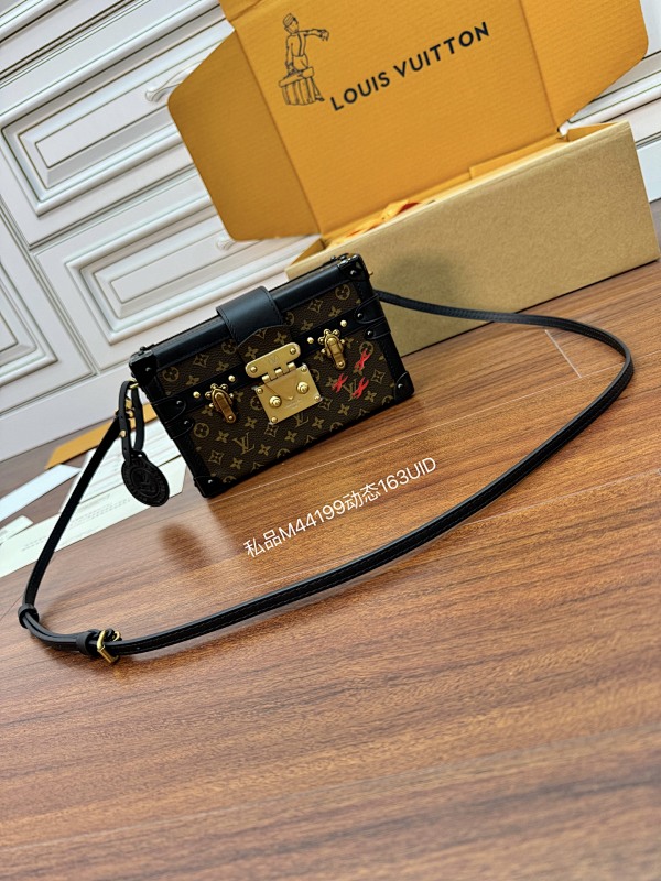 Louis Vuitton bag