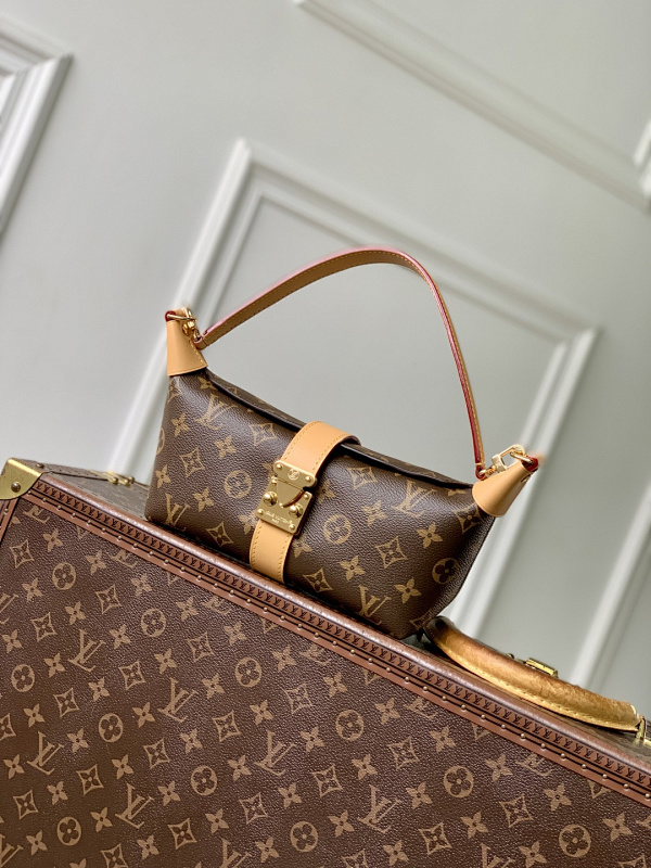 Louis Vuitton bag