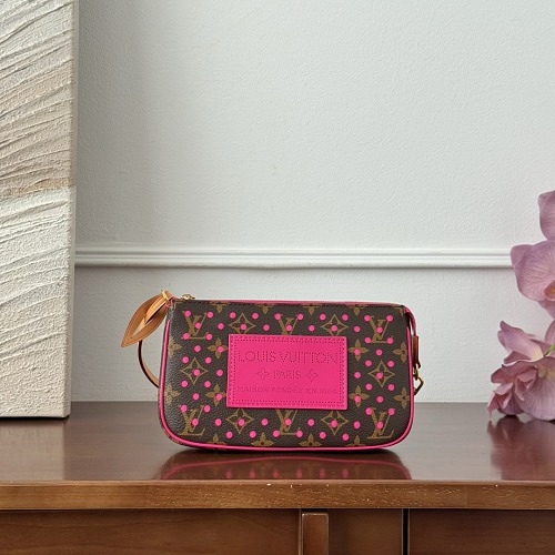 Louis Vuitton bag