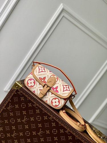 Louis Vuitton bag