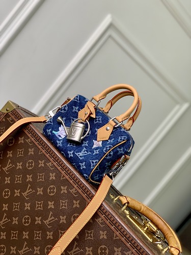 Louis Vuitton crossbody bag