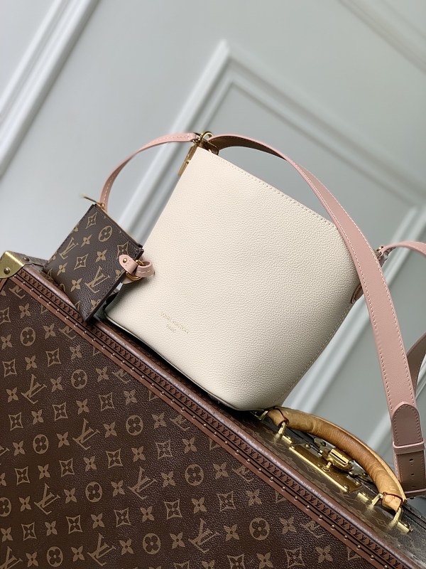 Louis Vuitton crossbody bag